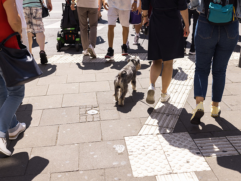 people and a dog walk on a city street