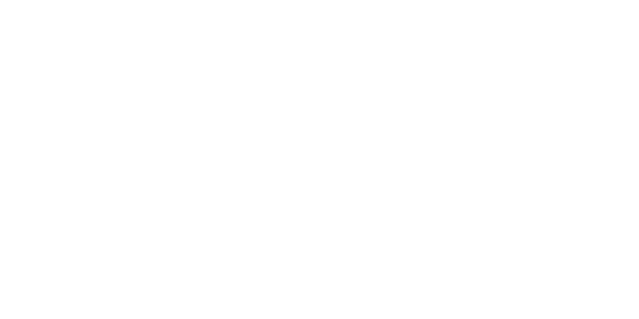 ally_logo ally_logo