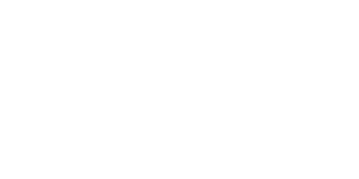 nephila_logo nephila_logo