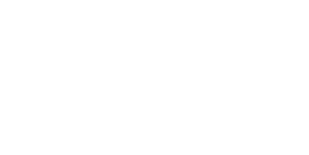 velocity-risk_logo