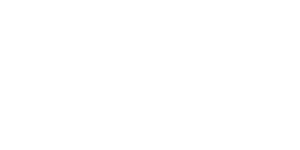 Fortune logo