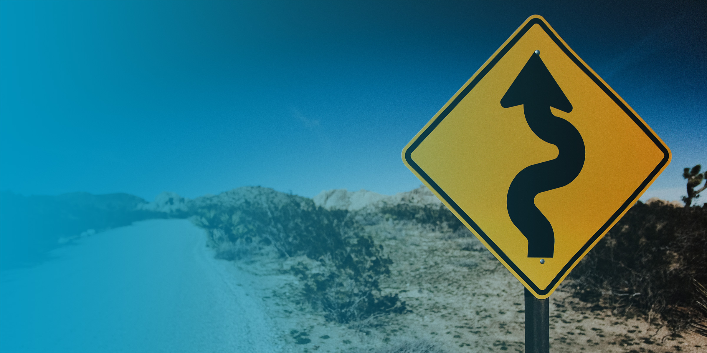 Yellow, curvy road ahead sign by a desert road