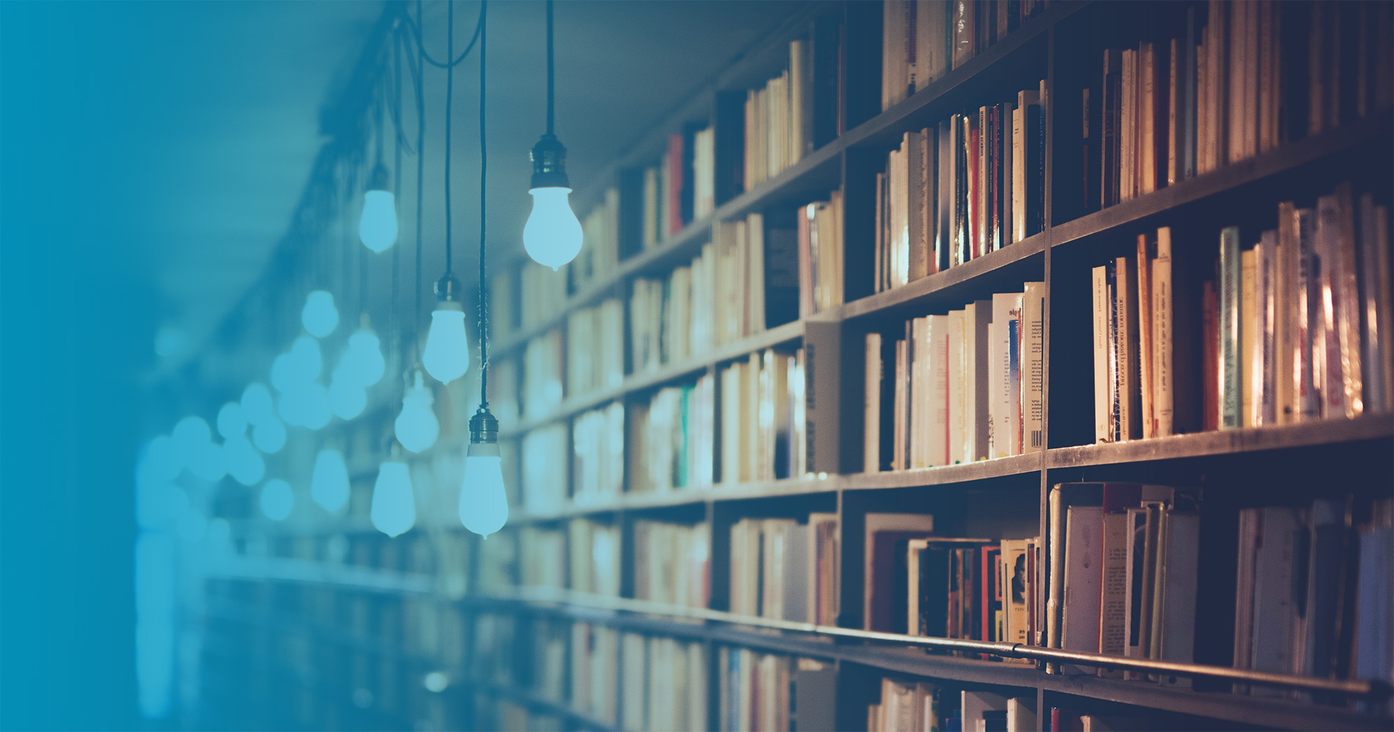 Bookcase with hanging lights